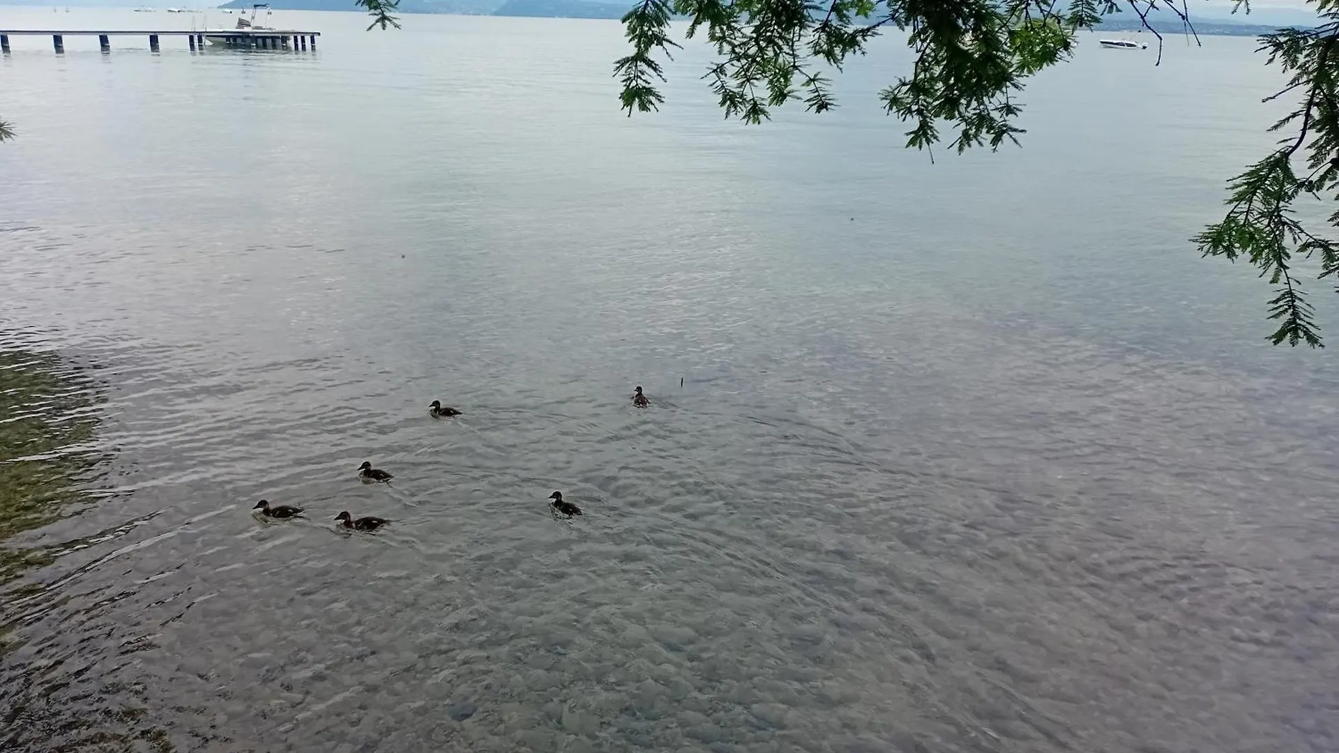 Appartement Miragarda Sirmione
